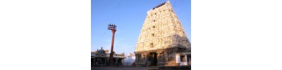 265. திருஅச்சிறுபாக்கம்